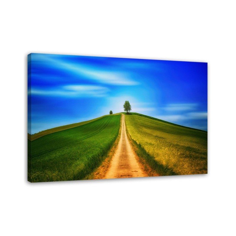 Road to the hill - Canvas print modern | FEEBY