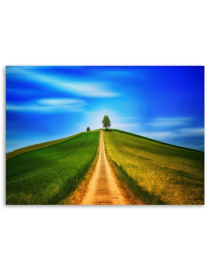 Road to the hill - Canvas print modern | FEEBY