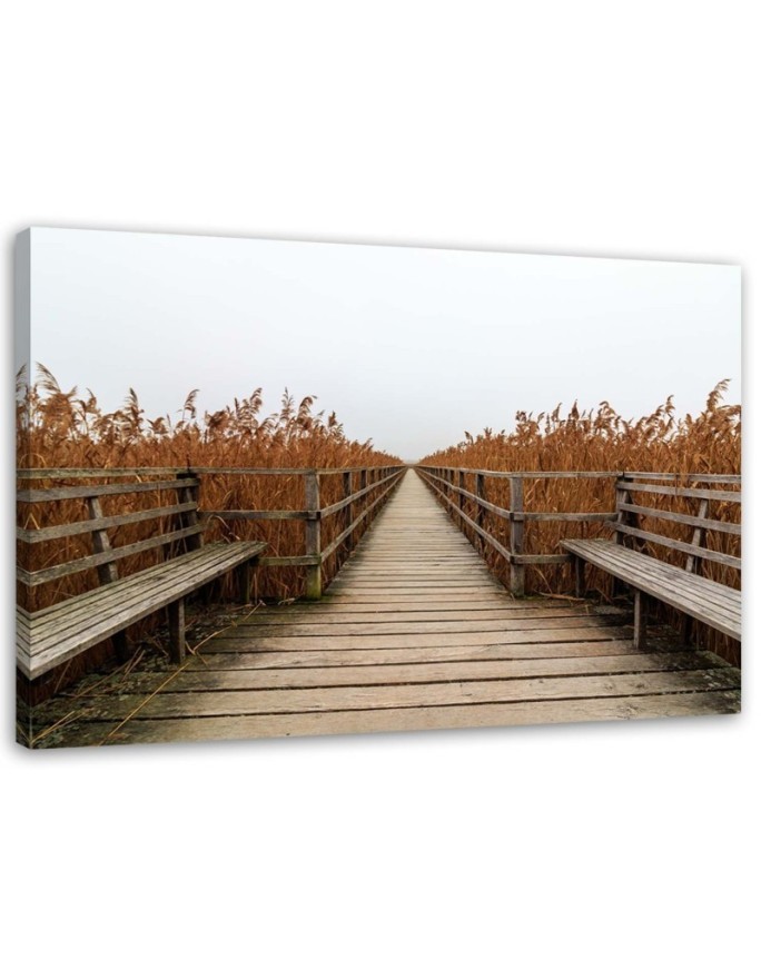 Bridge of dunes road to the beach - Canvas print | FEEBY