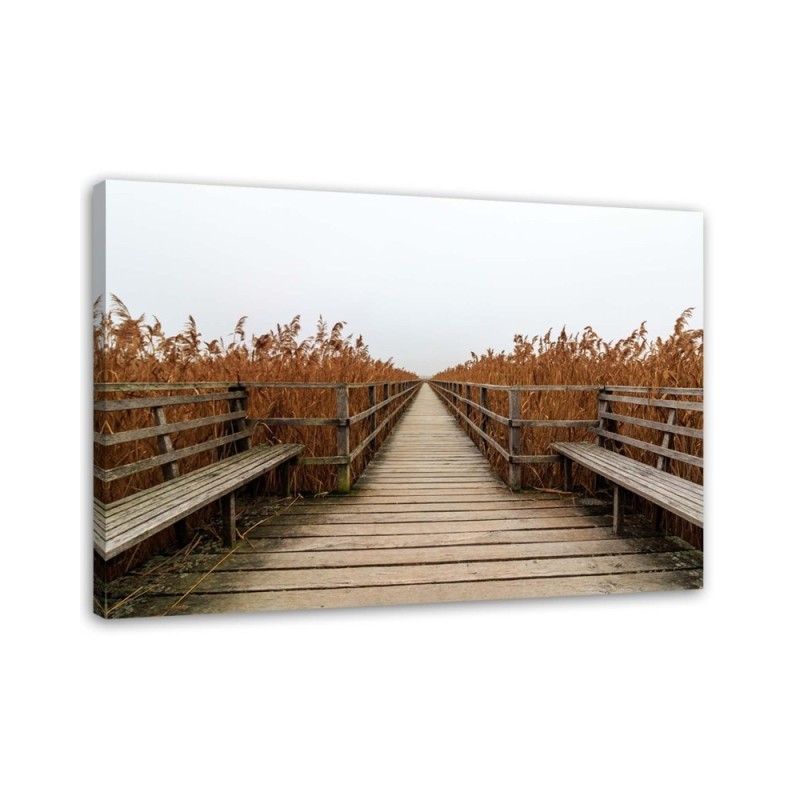 Bridge of dunes road to the beach - Canvas print | FEEBY