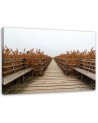 Bridge of dunes road to the beach - Canvas print | FEEBY