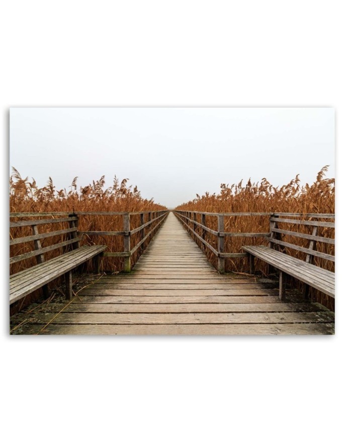 Bridge of dunes road to the beach - Canvas print | FEEBY