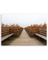 Bridge of dunes road to the beach - Canvas print | FEEBY