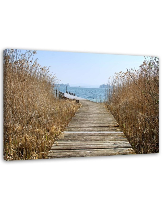 Road to the beach - Canvas print | FEEBY