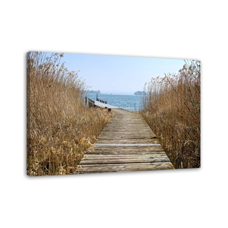 Road to the beach - Canvas print | FEEBY