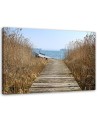Road to the beach - Canvas print | FEEBY