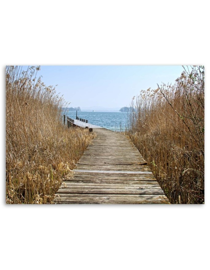 Road to the beach - Canvas print | FEEBY