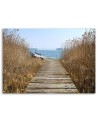 Road to the beach - Canvas print | FEEBY