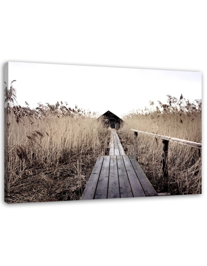 Old platform pampas grass - Canvas prints for the living room | FEEBY