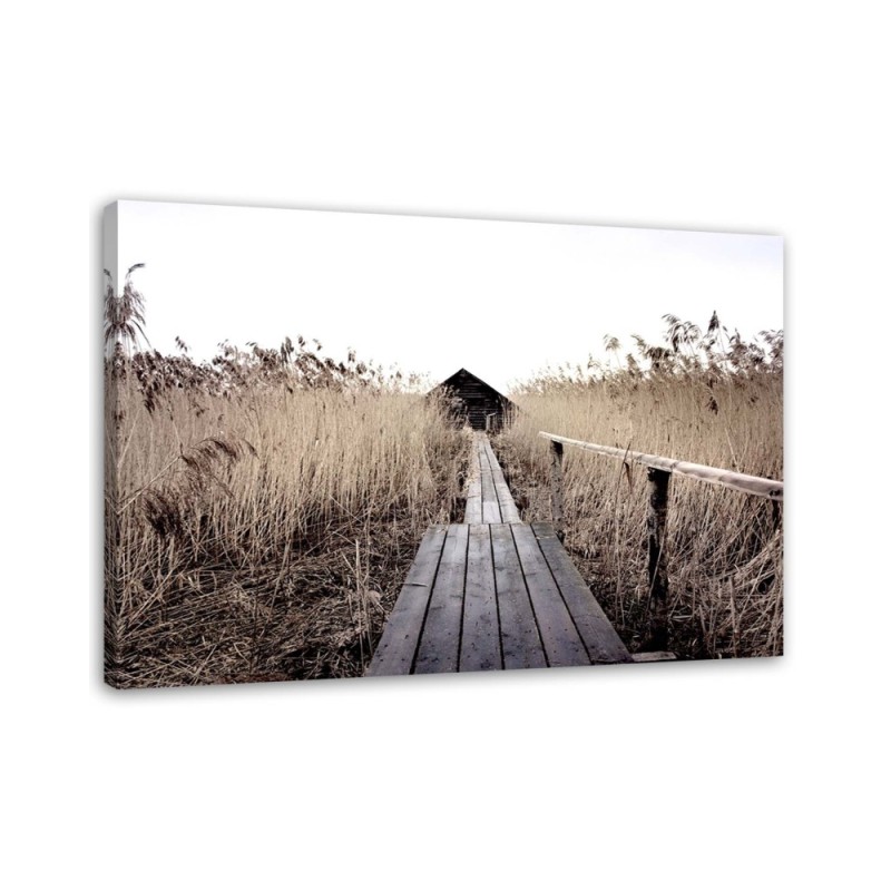 Old platform pampas grass - Canvas prints for the living room | FEEBY