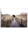Old platform pampas grass - Canvas prints for the living room | FEEBY