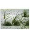 Canvas prints for living room - Green grass on the beach | FEEBY