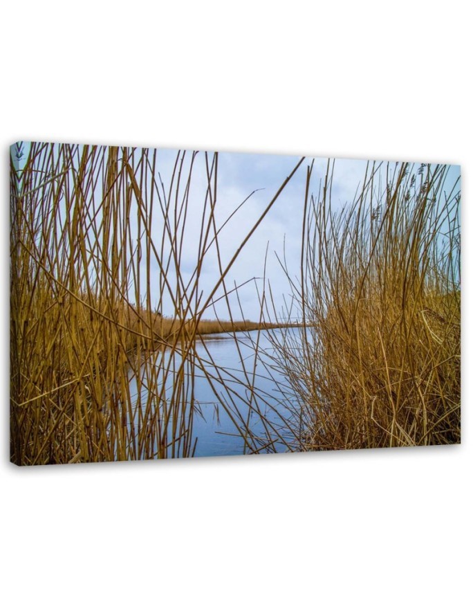 Canvas painting - Reeds on a lake | FEEBY
