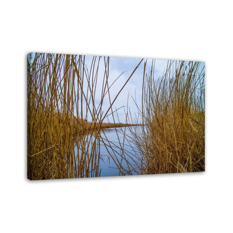 Canvas painting - Reeds on a lake | FEEBY