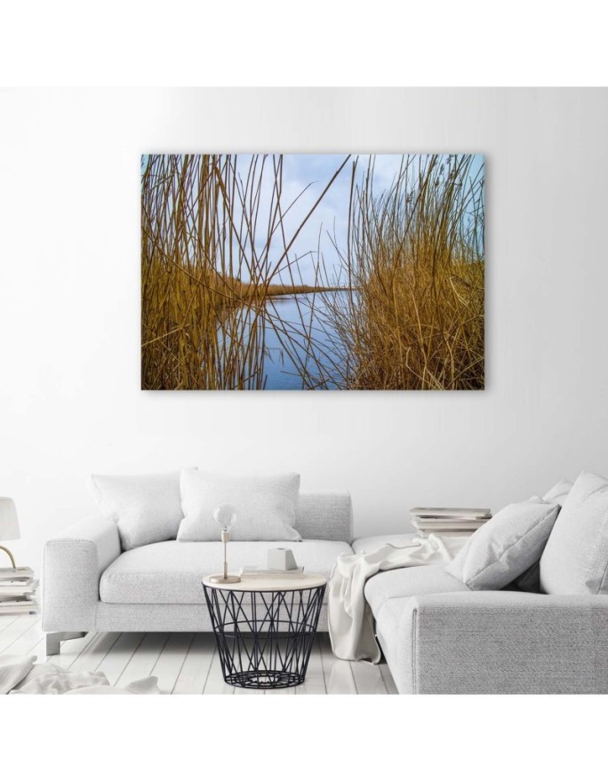 Canvas painting - Reeds on a lake | FEEBY