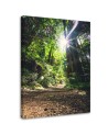 Canvas print modern - Jungle forest nature. Buy now| | FEEBY