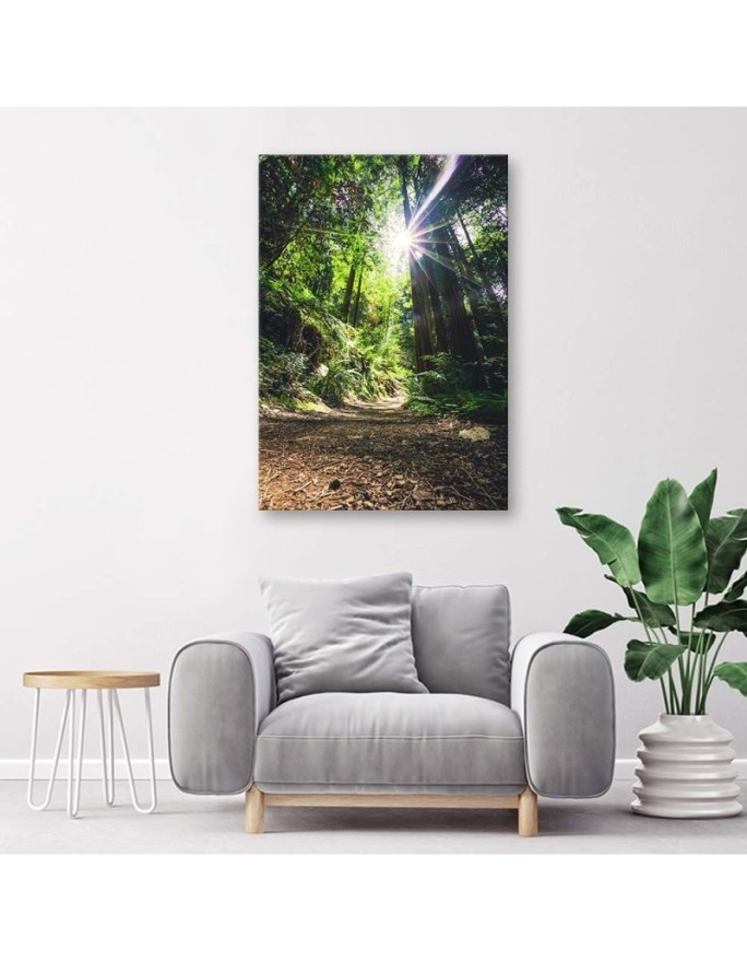 Canvas print modern - Jungle forest nature. Buy now| | FEEBY