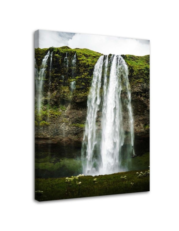 Canvas print Waterfall in...
