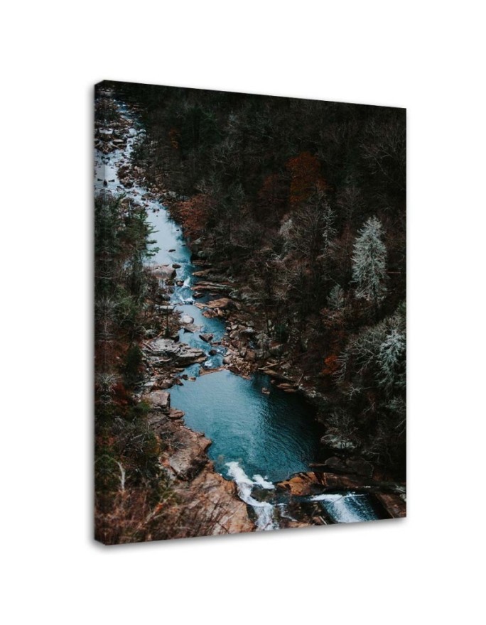 Canvas prints for living room - River in the forest | FEEBY
