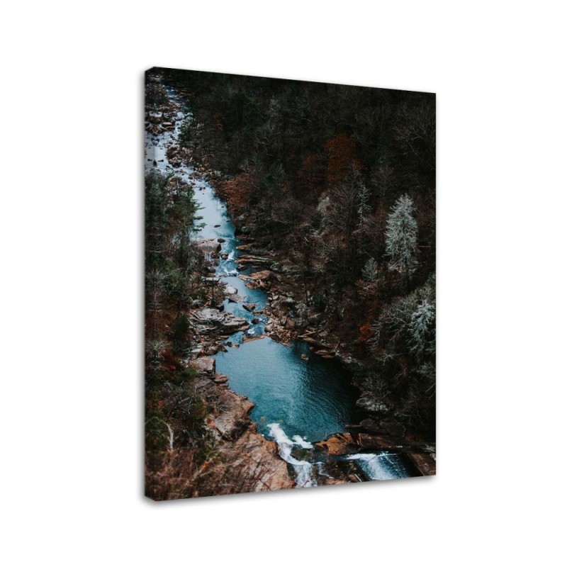Canvas prints for living room - River in the forest | FEEBY