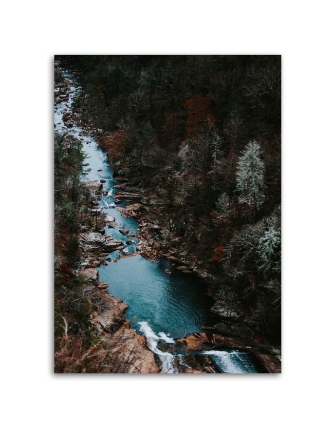 Canvas prints for living room - River in the forest | FEEBY
