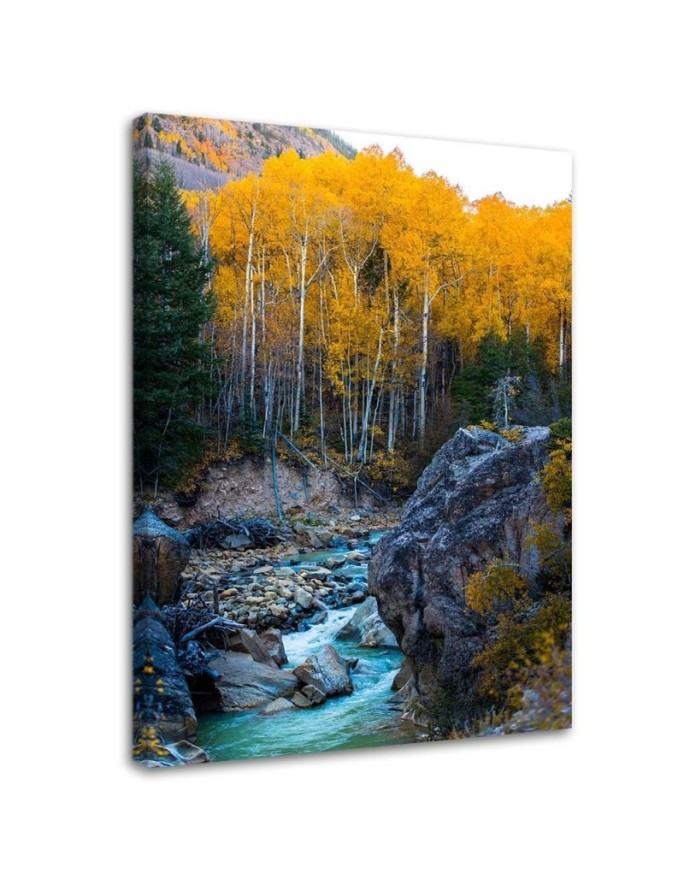 Stream in the forest Canvas print landscape - | FEEBY