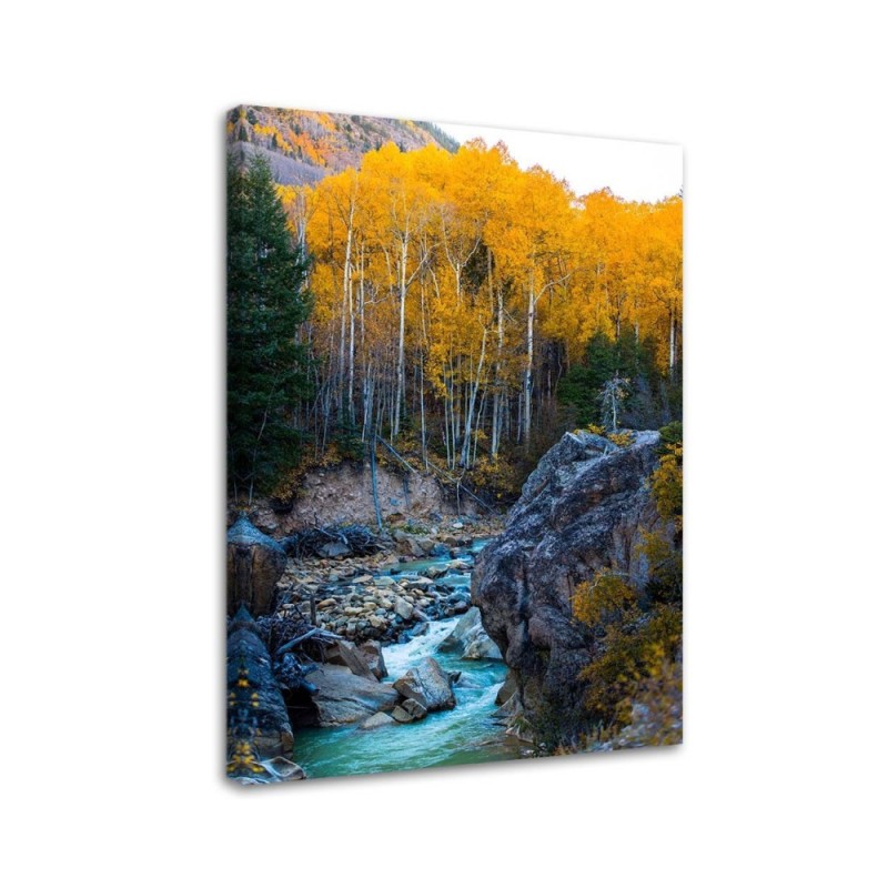 Stream in the forest Canvas print landscape - | FEEBY
