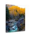 Stream in the forest Canvas print landscape - | FEEBY