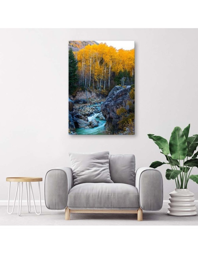 Stream in the forest Canvas print landscape - | FEEBY