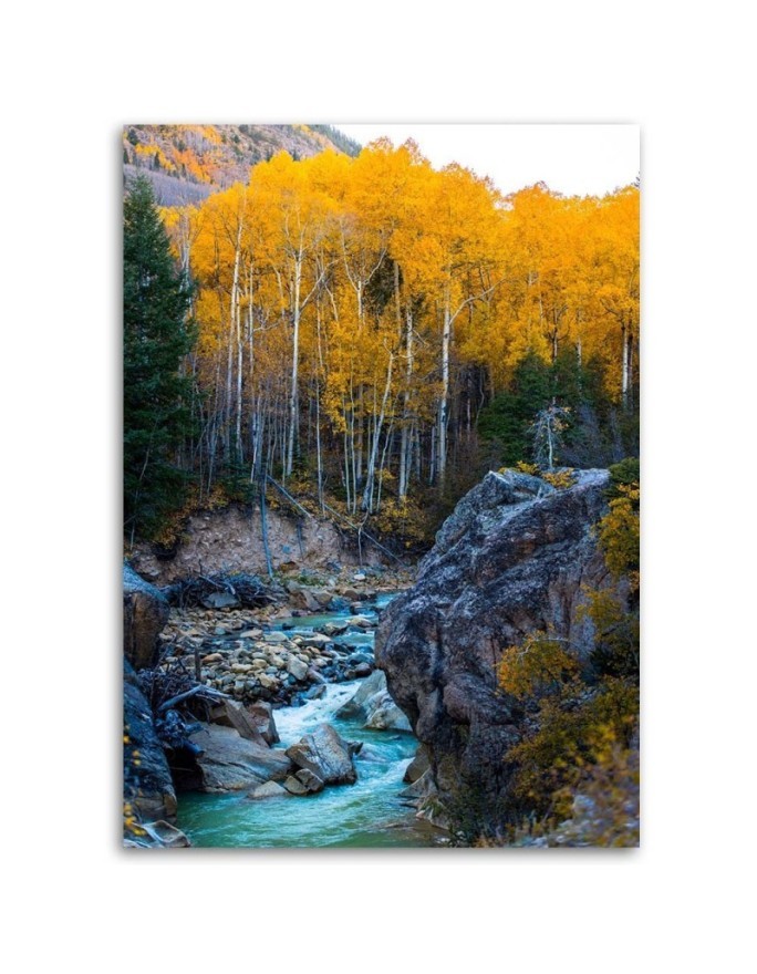 Stream in the forest Canvas print landscape - | FEEBY