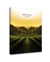 Canvas print modern - Napa Valley. Buy now| | FEEBY