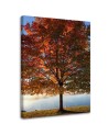 Canvas print - Autumn tree view | FEEBY