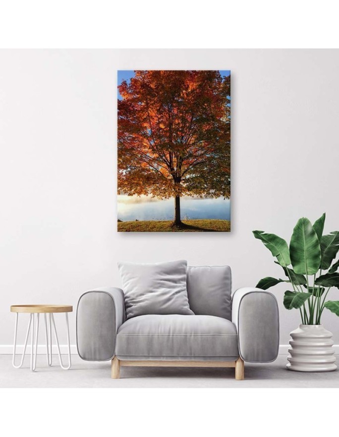 Canvas print - Autumn tree view | FEEBY