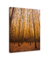 Canvas prints for living room - Birch forest and leaves | FEEBY