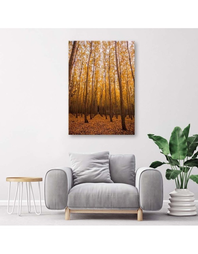 Canvas prints for living room - Birch forest and leaves | FEEBY