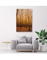 Canvas prints for living room - Birch forest and leaves | FEEBY