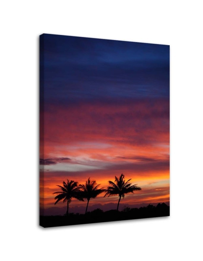 Colourful sky and palm trees - Modern Canvas painting for bedroom | FEEBY