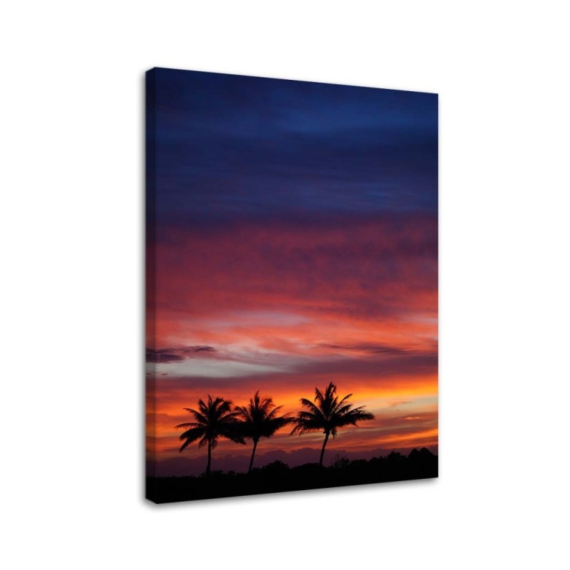 Colourful sky and palm trees - Modern Canvas painting for bedroom | FEEBY