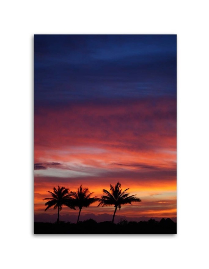 Colourful sky and palm trees - Modern Canvas painting for bedroom | FEEBY