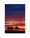 Colourful sky and palm trees - Modern Canvas painting for bedroom | FEEBY