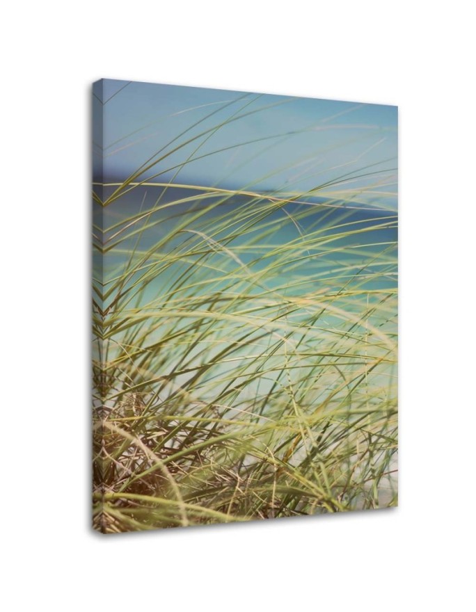 Canvas print Grass on the...