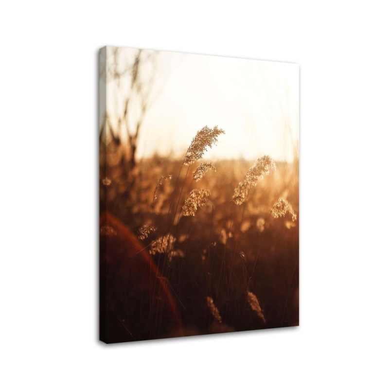 Meadow in the sun - Canvas print modern | FEEBY