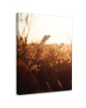 Meadow in the sun - Canvas print modern | FEEBY