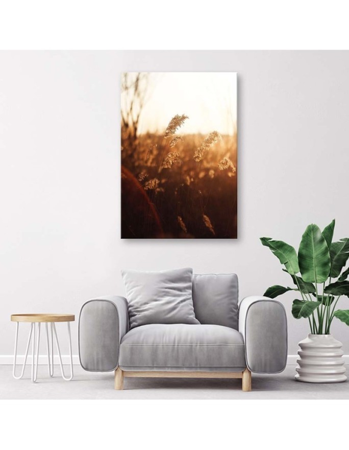 Meadow in the sun - Canvas print modern | FEEBY