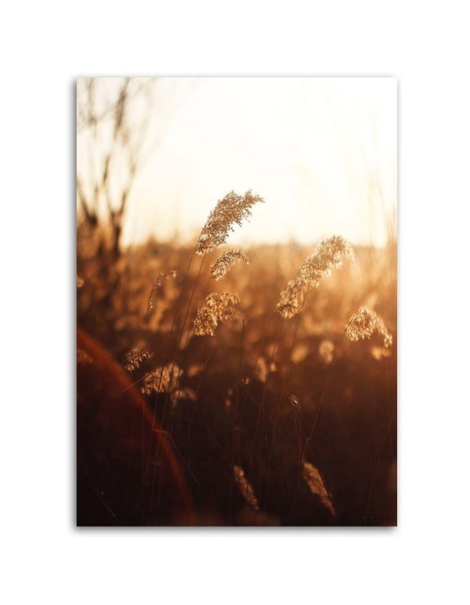 Meadow in the sun - Canvas print modern | FEEBY