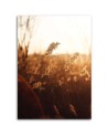 Meadow in the sun - Canvas print modern | FEEBY
