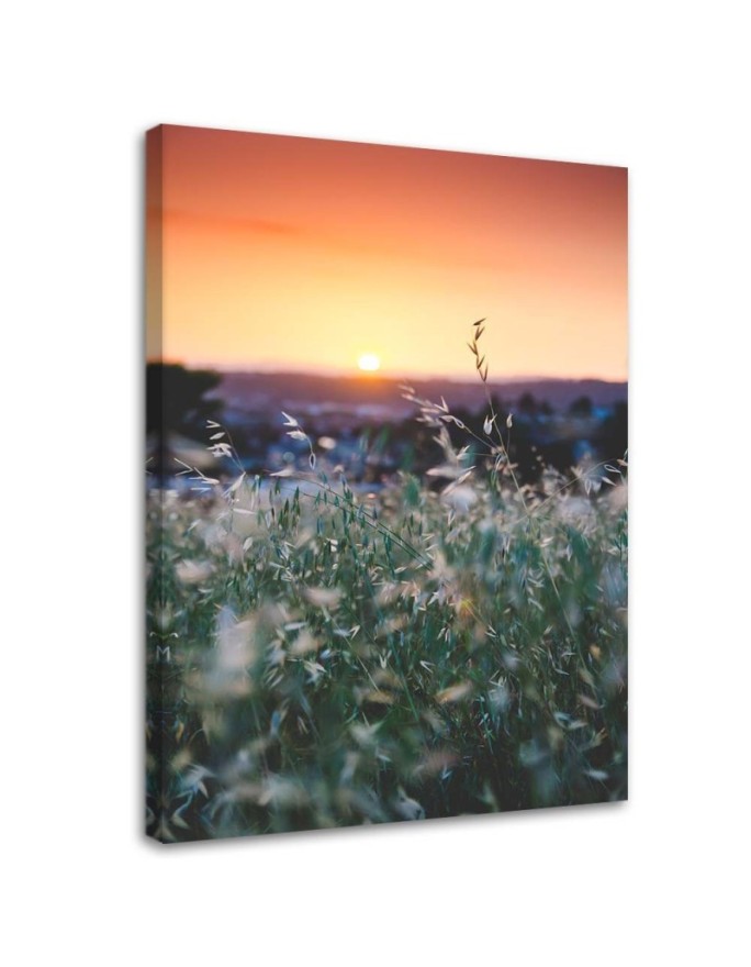 Canvas print Meadow and sunset