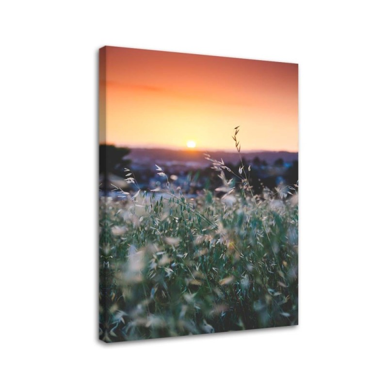 Meadow and sunset - Canvas print | FEEBY