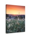 Meadow and sunset - Canvas print | FEEBY