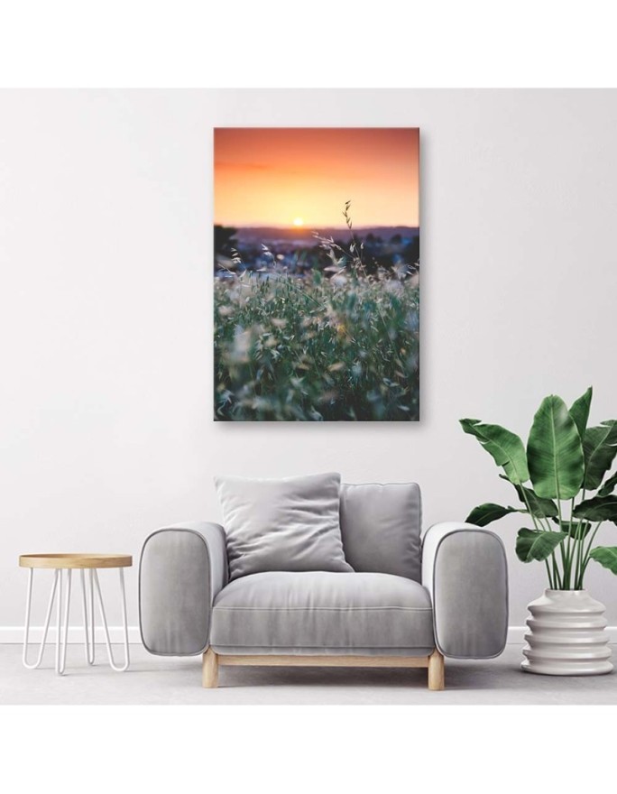 Meadow and sunset - Canvas print | FEEBY